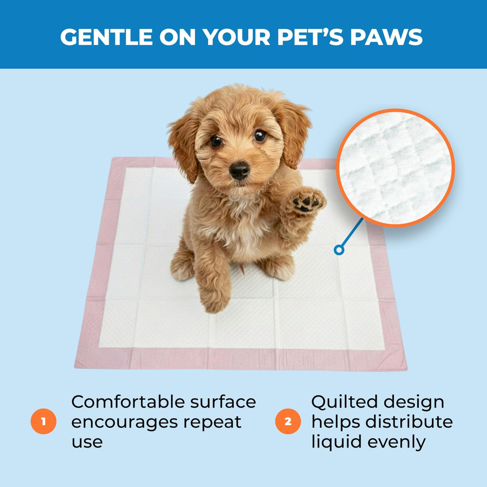 Best Pet Supplies puppy pads pink prints add style during training