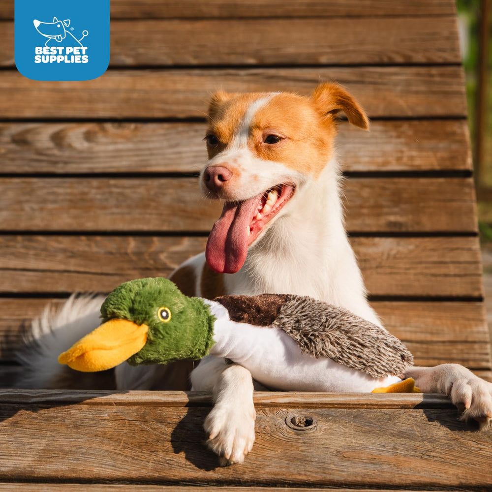 Best Pet Supplies Mallard Duck Toy squeaky feature ideal for fetch