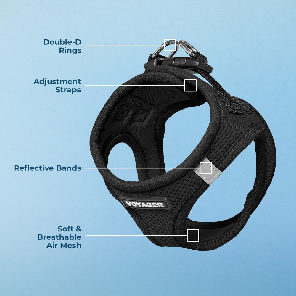 Best Pet Supplies secure no-pull harness featuring hook-and-loop fastener.