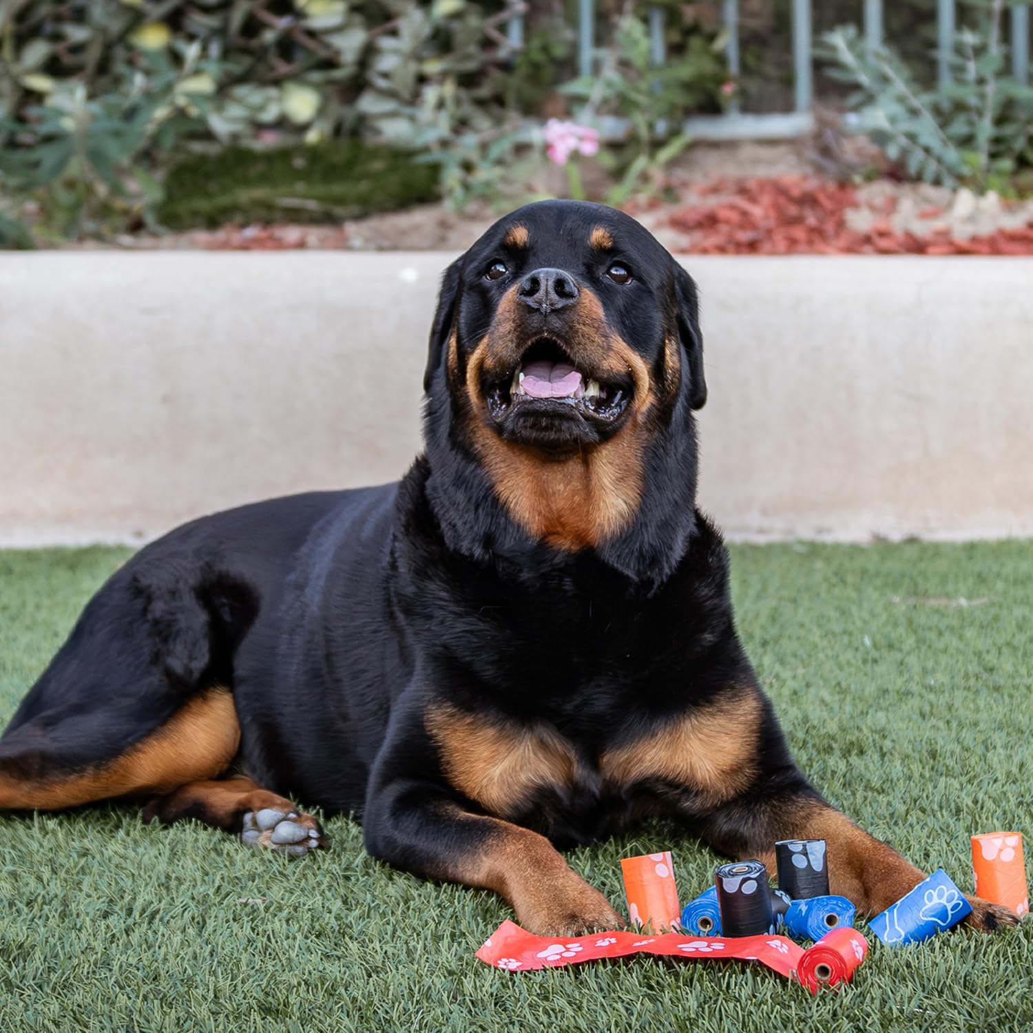 Best Pet Supplies travel poop bags compact roll for car trips.