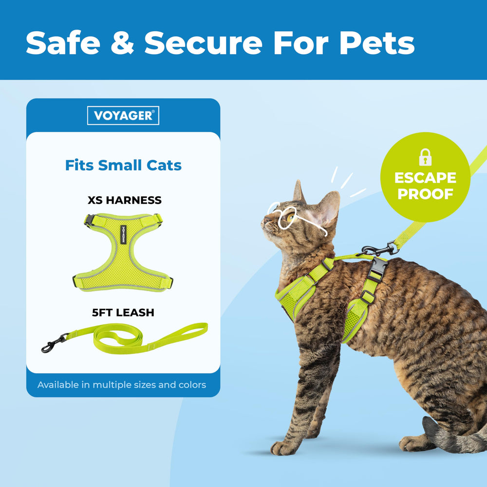Best Pet Supplies Voyager 5ft leash with neoprene handle for comfortable control