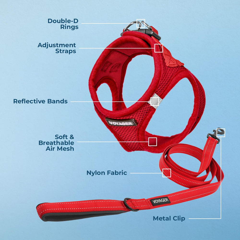 Best Pet Supplies Voyager 5ft leash for controlled everyday walks