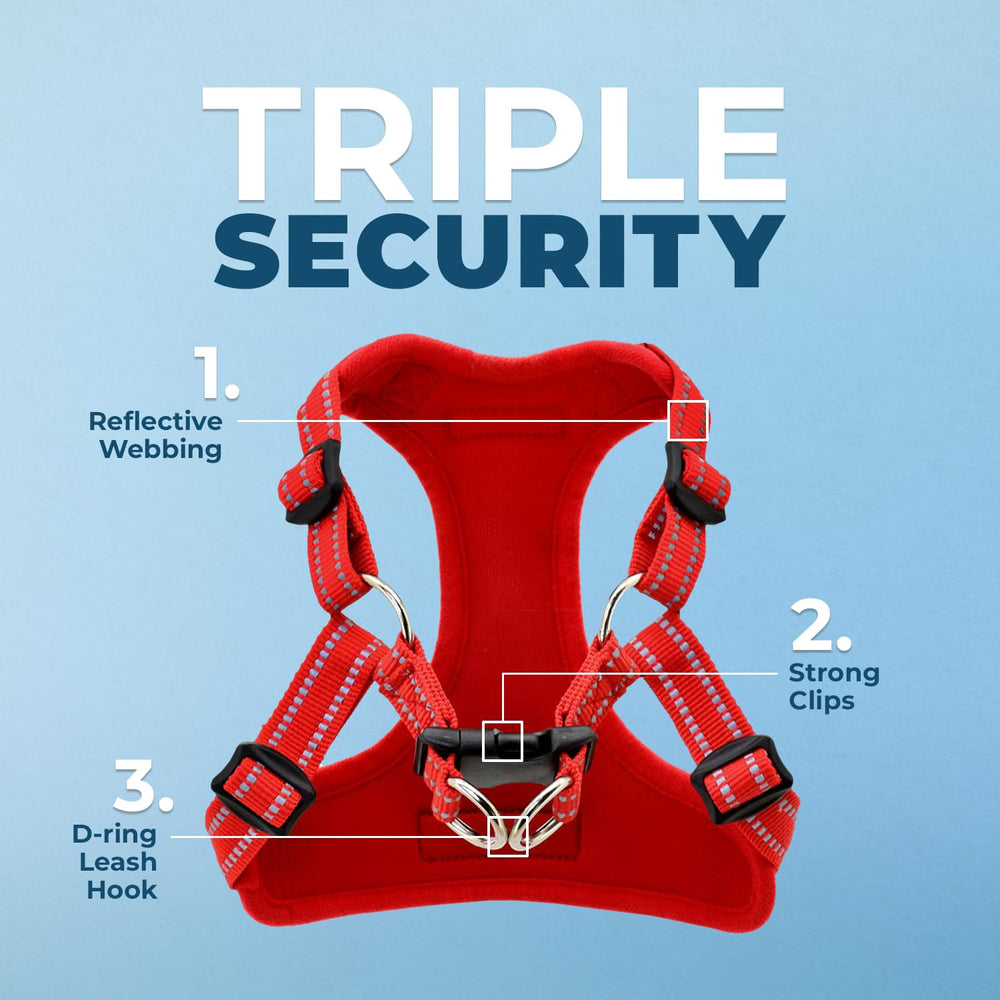 Voyager harness adjustable neck and chest for a secure, customizable fit