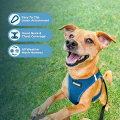Voyager all-weather air mesh harness keeps pets comfortable and cool