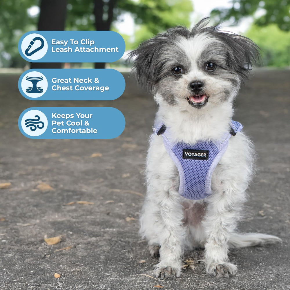 Best Pet Supplies Voyager breathable mesh close-up highlights cooling comfort on walks.