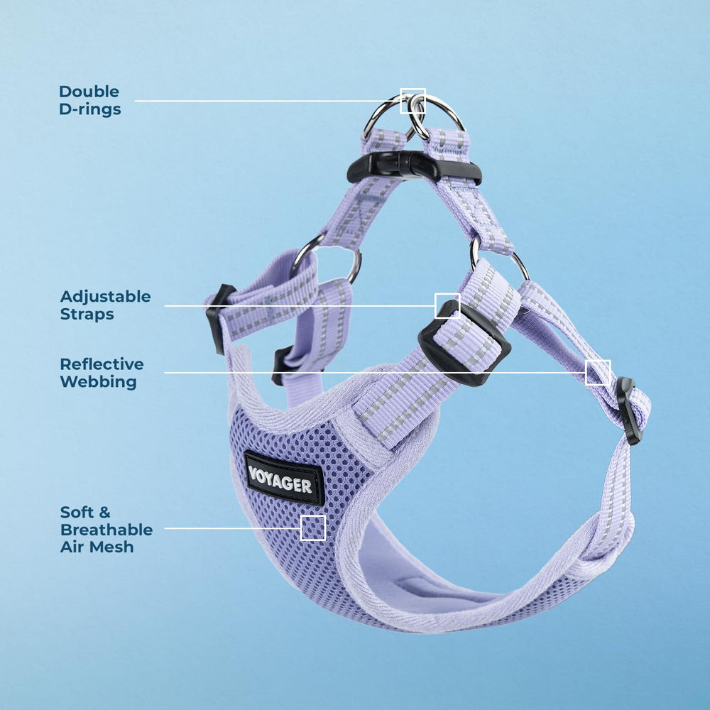 Breathable mesh Voyager harness in lavender keeps dogs cool during walks
