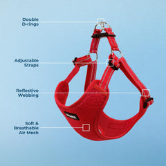 Voyager chest-pressure no-pull design helps calmer walks and less pulling