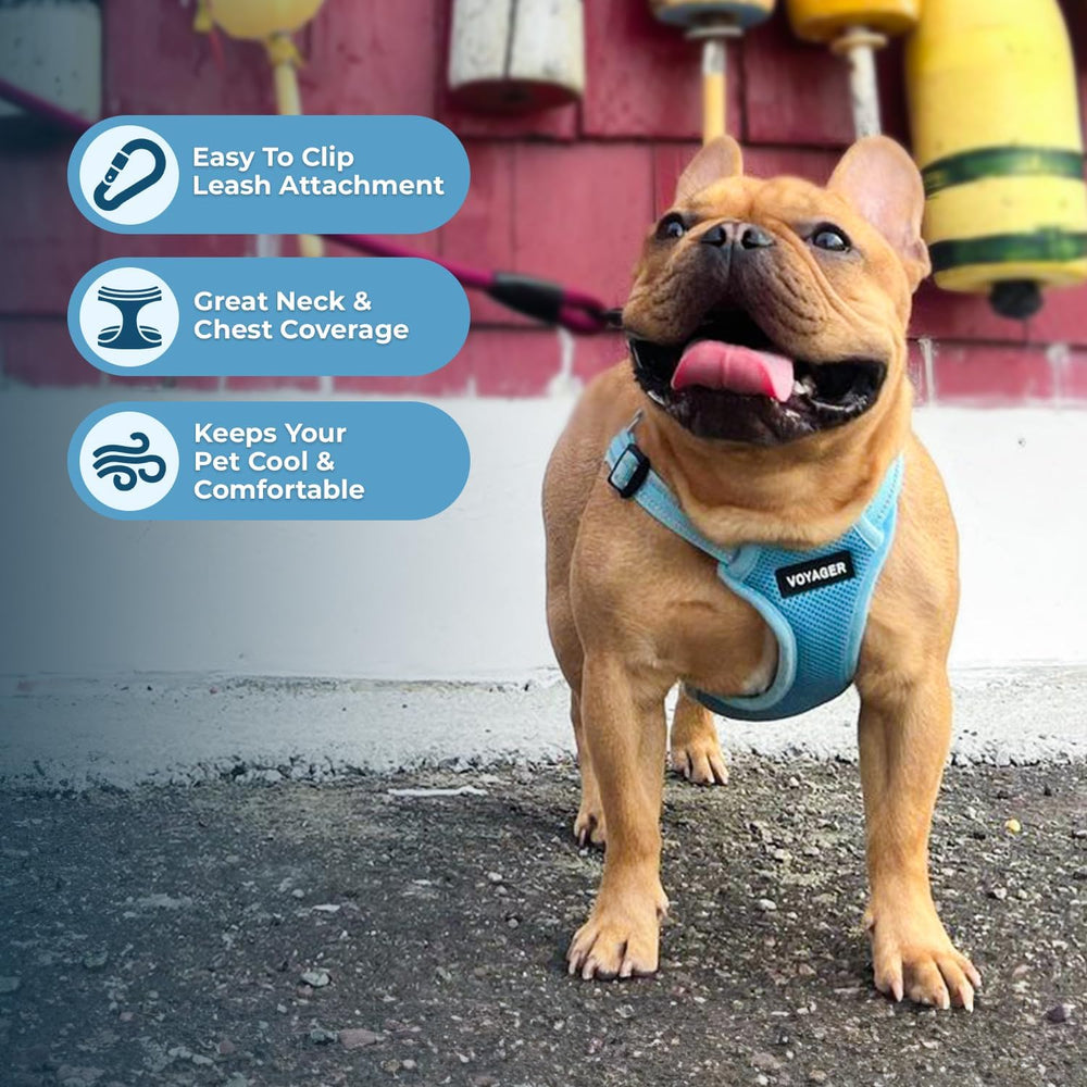 Best Pet Supplies Voyager quick-clip buckle for fast, calm harnessing.