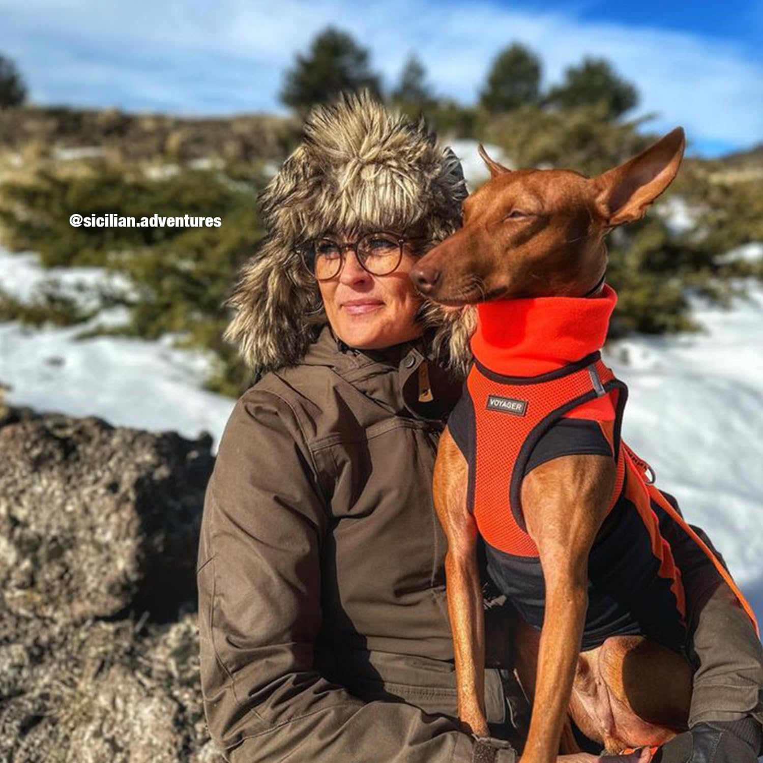 Best Pet Supplies Voyager double D-rings provide secure lead connections.