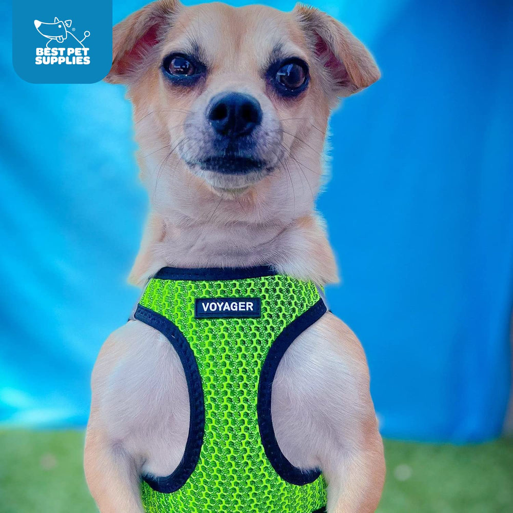 Best Pet Supplies Voyager step-in design encourages stress-free strolls