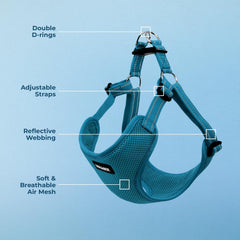 Best Pet Supplies Voyager adjustable chest and neck straps ensure a secure fit