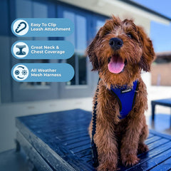 Best Pet Supplies Voyager harness back view emphasizes double D-rings for secure attachment