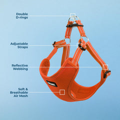 Close-up of clip closure on Voyager harness for quick secure fitting