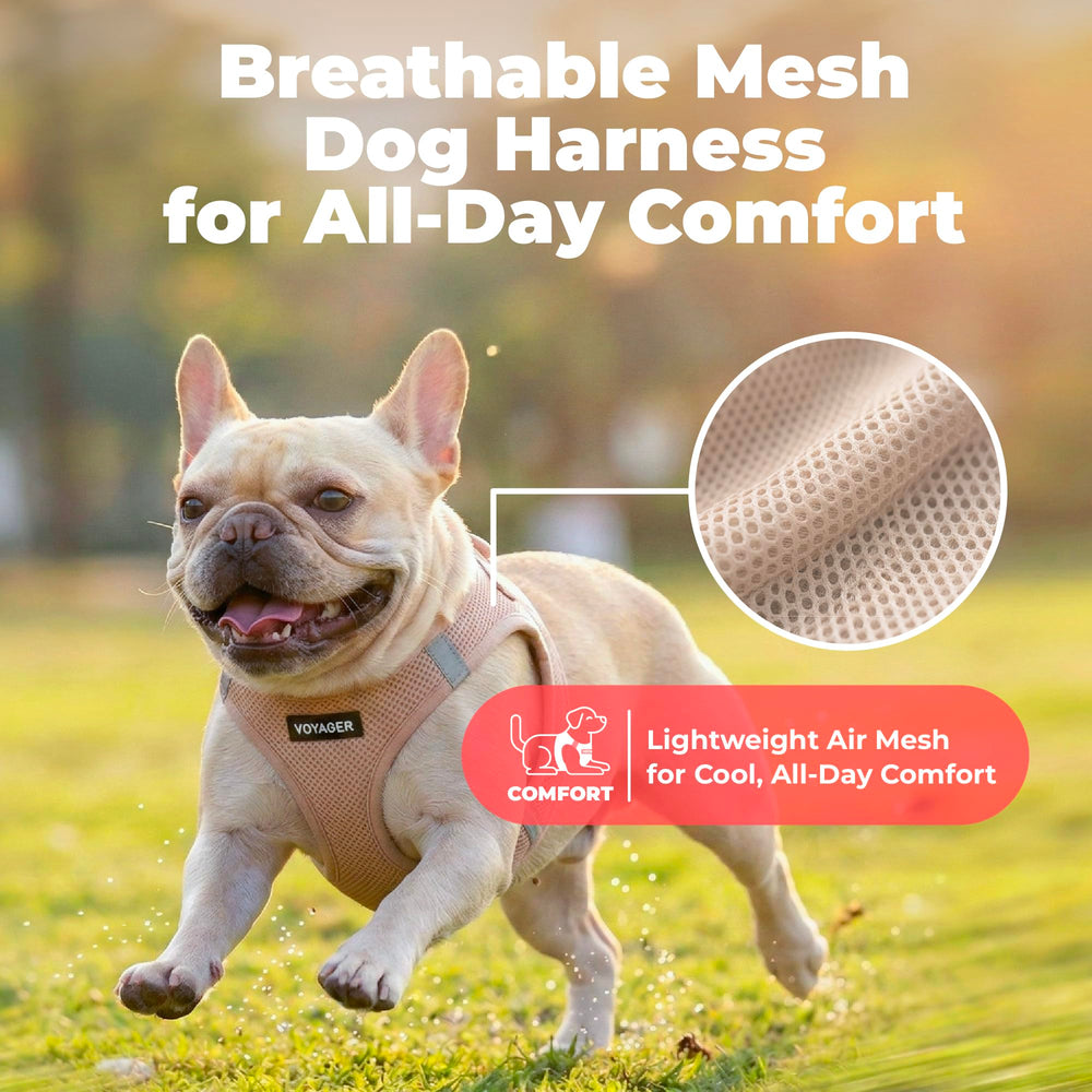 Best Pet Supplies Voyager harness easy step-in style for quick on-off fittings.