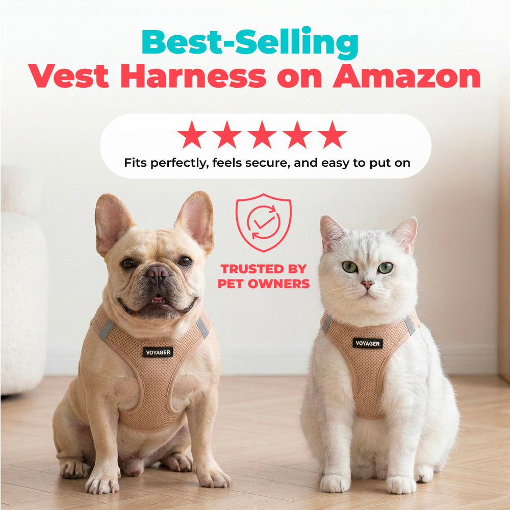 Best Pet Supplies Voyager harness khaki color blends with outdoor gear for daily walks.