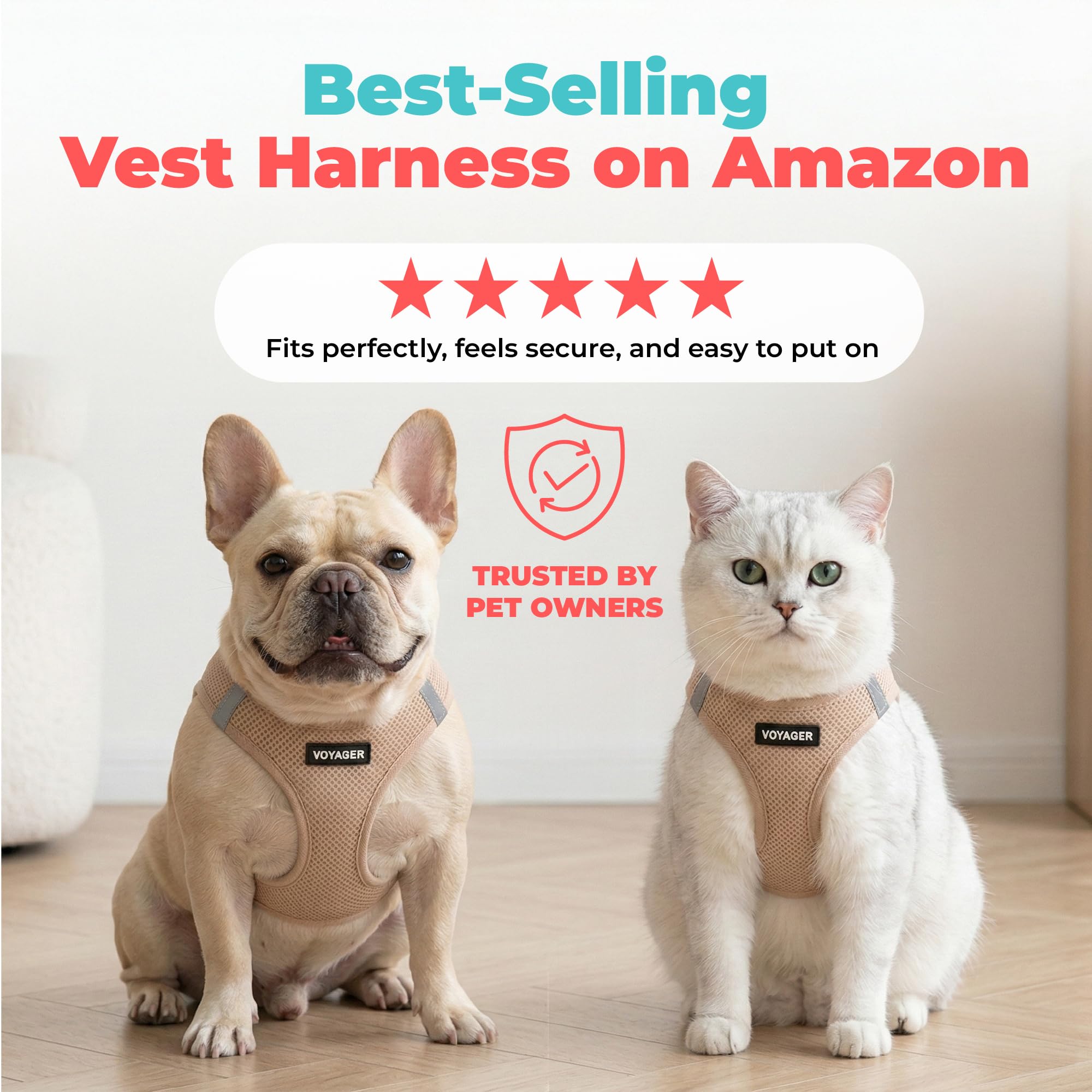 Khaki Voyager harness complements everyday outings with pets