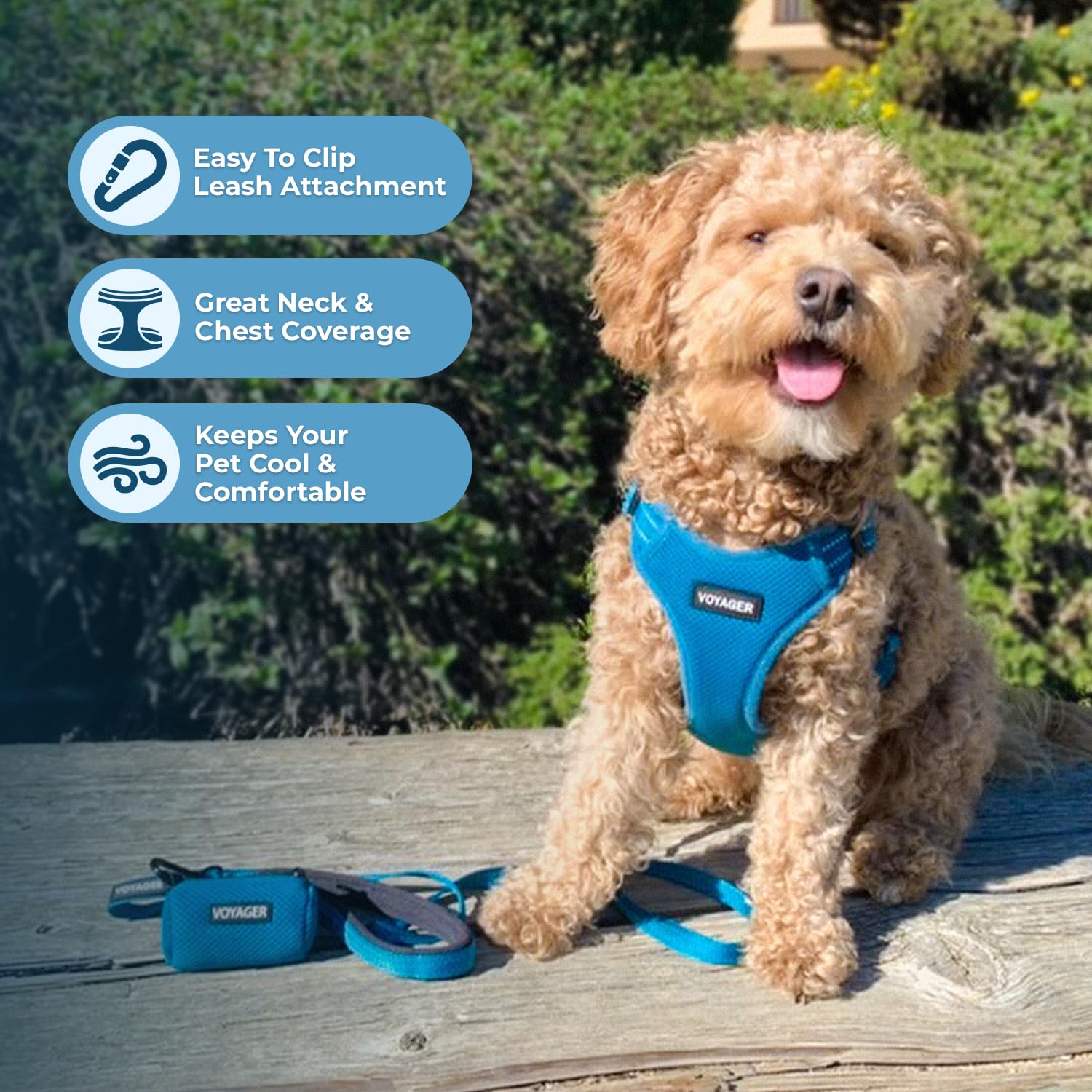 Best Pet Supplies Voyager no-pull design reduces tugging for calmer walks