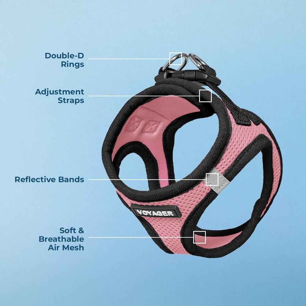 Best Pet Supplies Voyager harness with reflective bands for safer dusk strolls.
