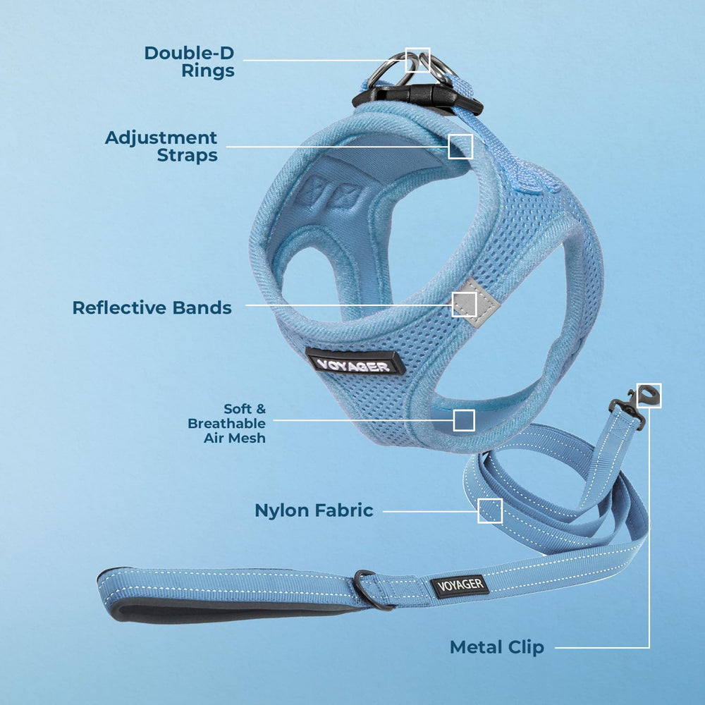 Reflective bands on the Voyager harness boost visibility for early or late walks.