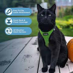 Voyager harness with reflective bands for better visibility during dawn or dusk walks