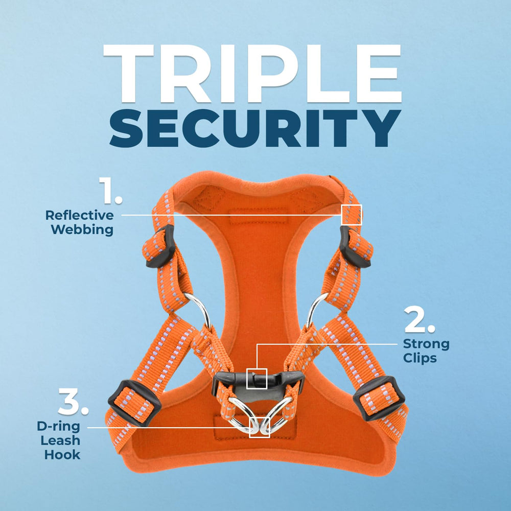 Voyager harness features reflective stitching for better visibility at dawn or dusk