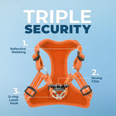 Voyager harness features reflective stitching for better visibility at dawn or dusk