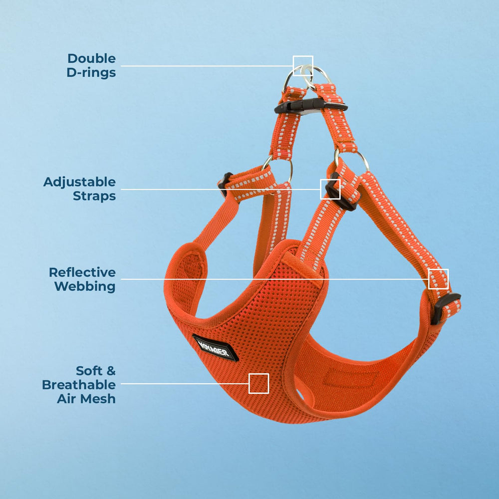 Step-in clip on Voyager harness for quick on and off