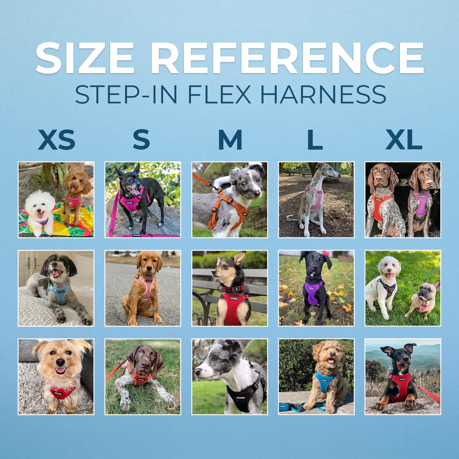 Lightweight air mesh keeps dogs cool during daily adventures with Voyager harness.