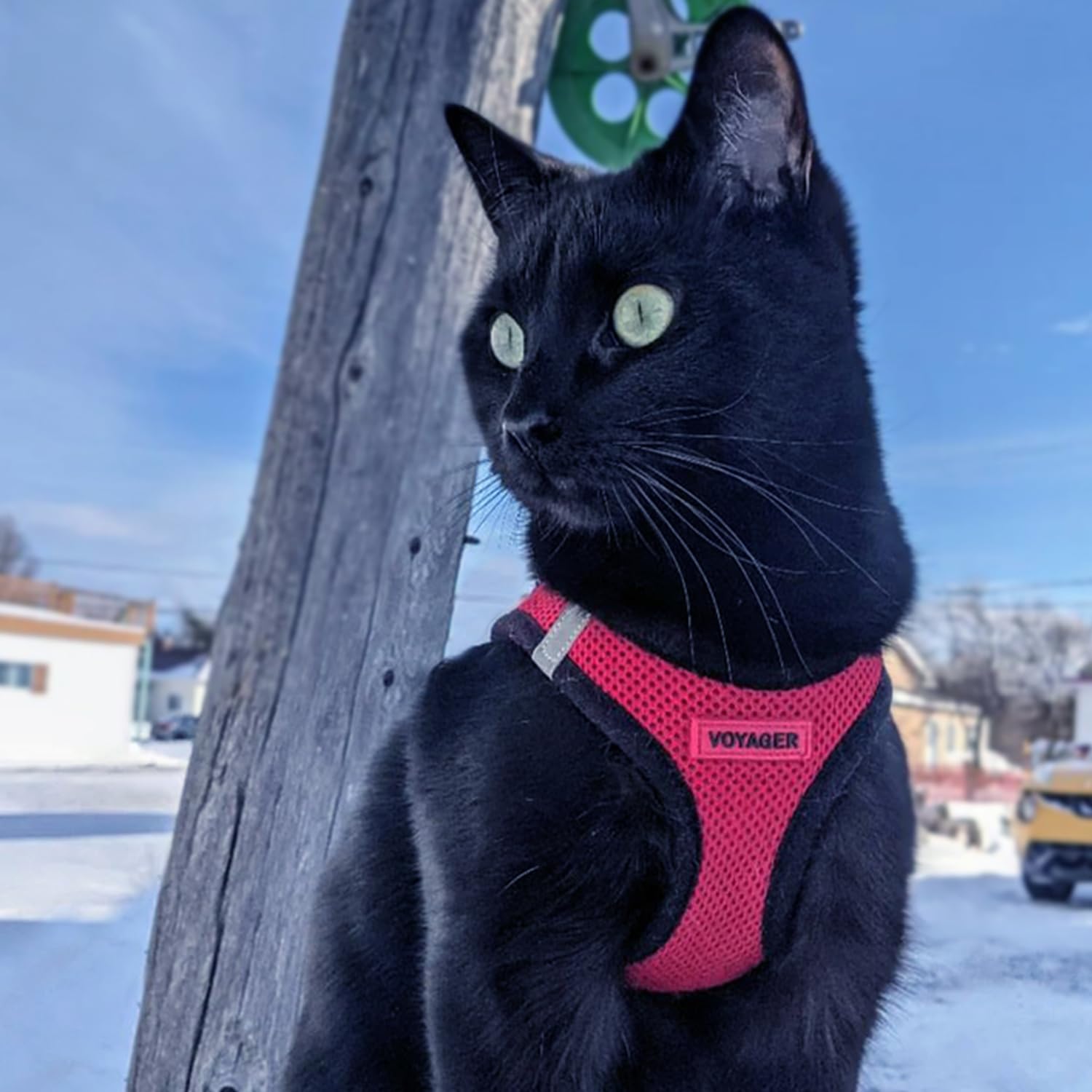 Best Pet Supplies Voyager lightweight quick-drying harness for year-round use