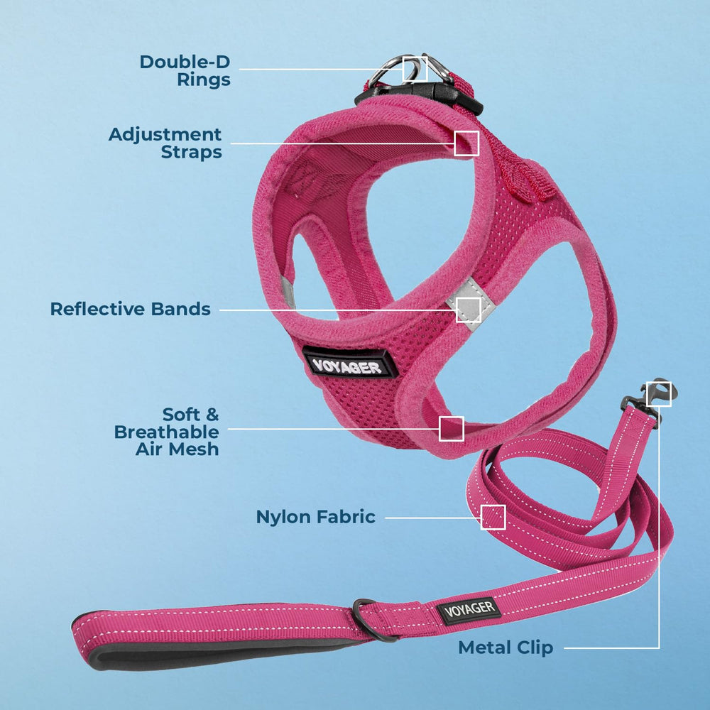 Best Pet Supplies Voyager leash with neoprene handle for comfortable grip.