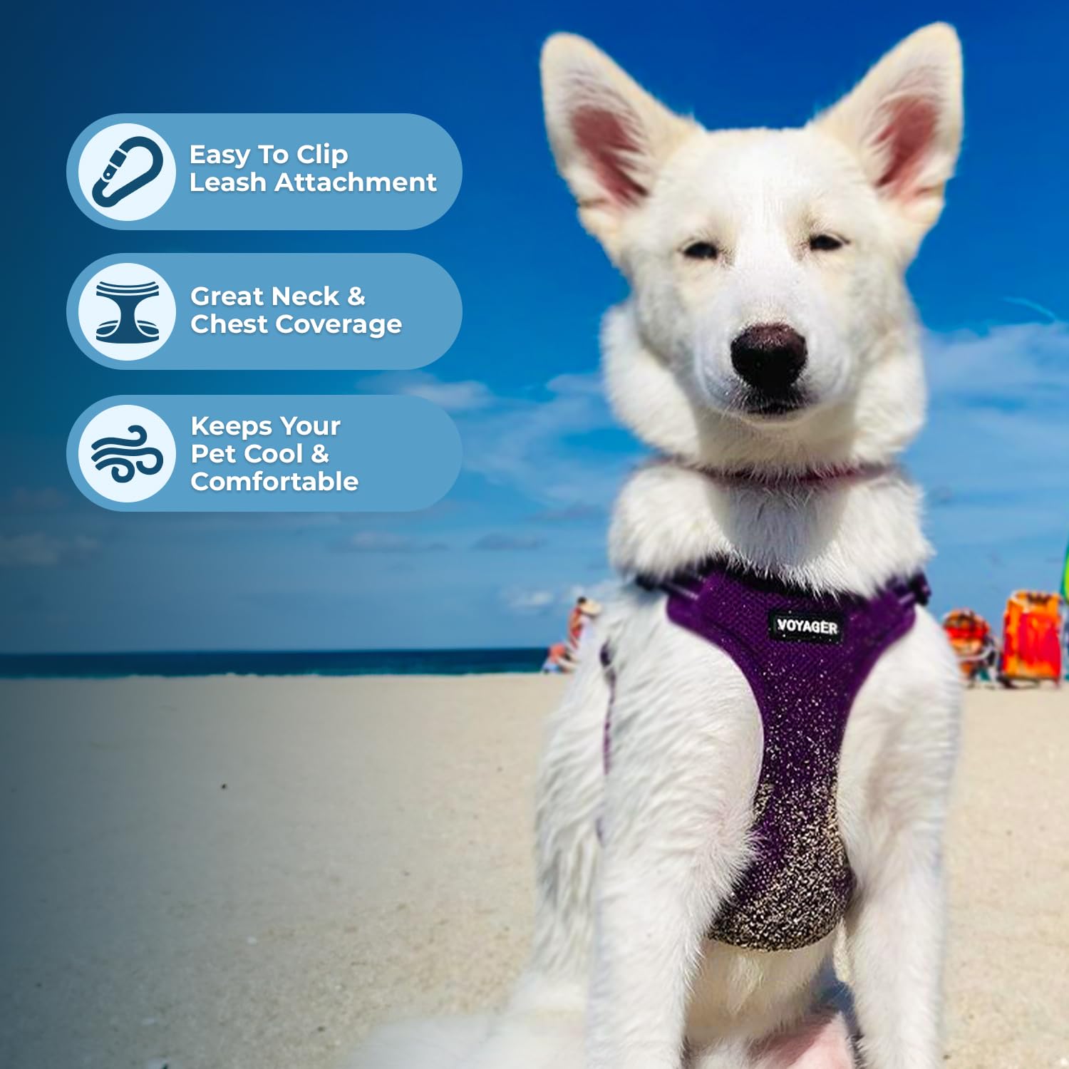 Best Pet Supplies Voyager quick clip closure speeds up harnessing for busy mornings.