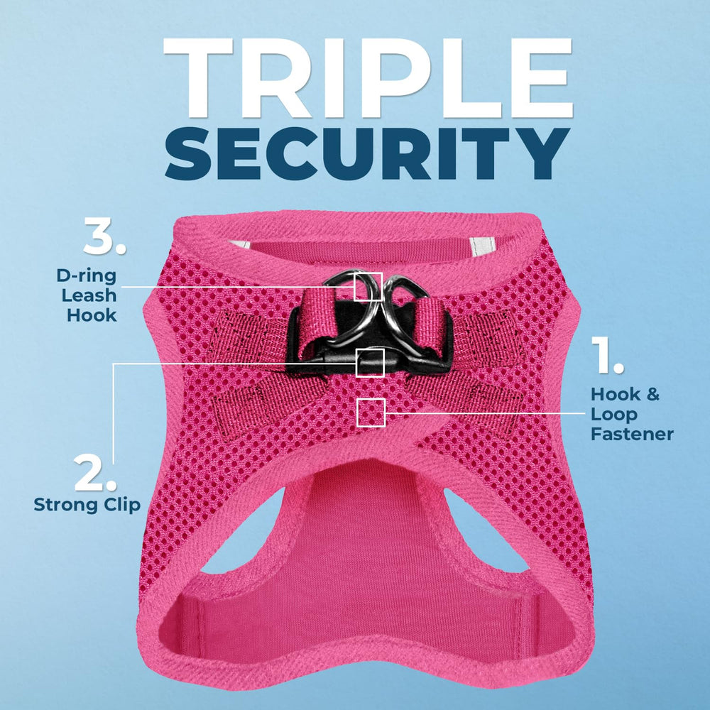 Best Pet Supplies Voyager harness with reflective bands for low-light visibility.
