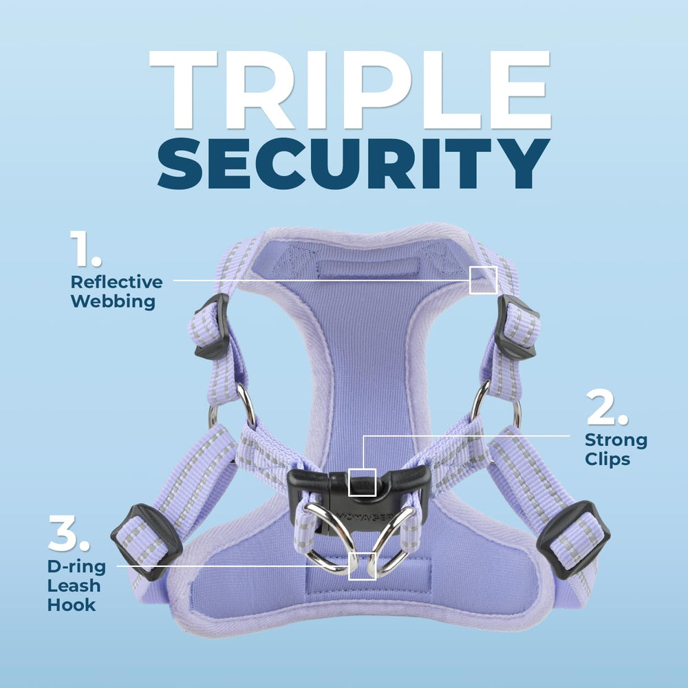 Best Pet Supplies Voyager reflective straps boost visibility during dawn and dusk outings.