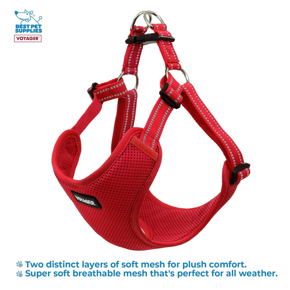 Voyager reflective straps improve visibility for safe low-light outings.