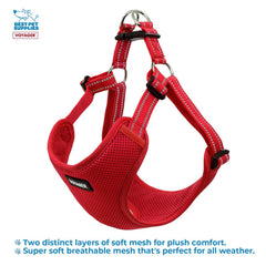 Voyager reflective straps improve visibility for safe low-light outings.