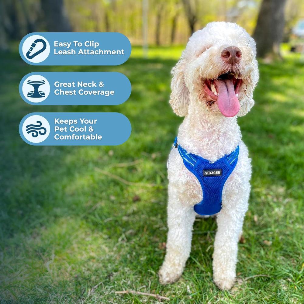 Best Pet Supplies Voyager reflective-straps boost visibility during dawn and dusk.
