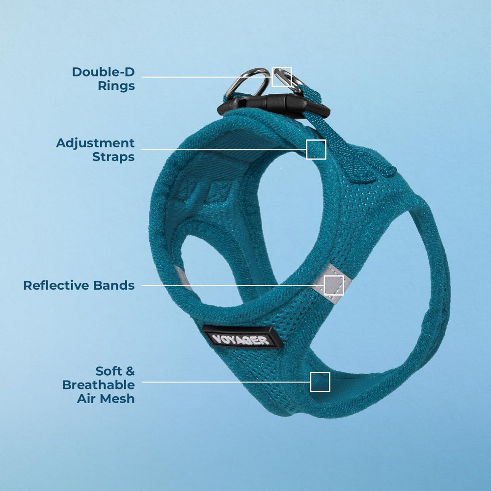 Best Pet Supplies Voyager secure fastener and buckle for daily security.