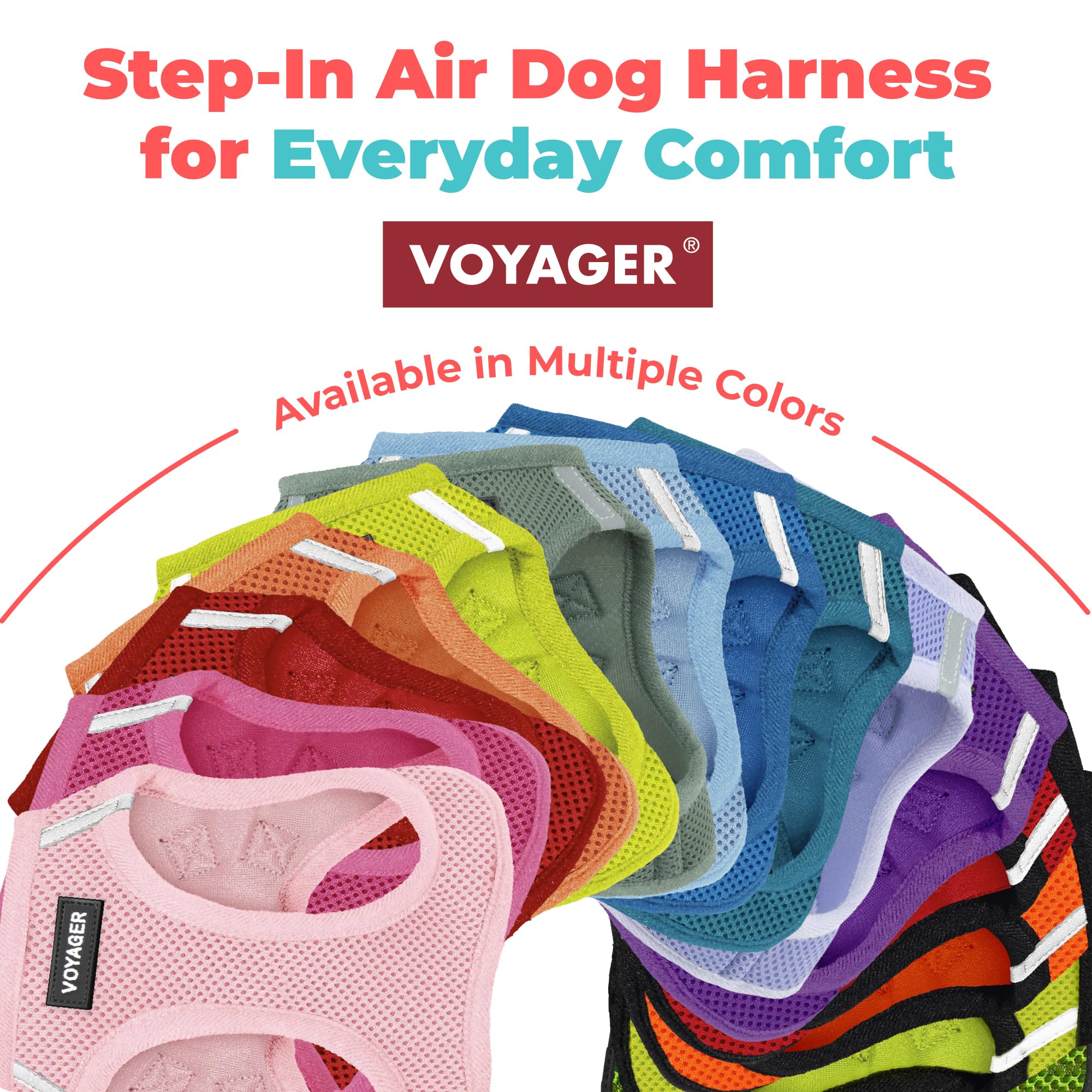 Secure fit for dogs and cats during walks and play