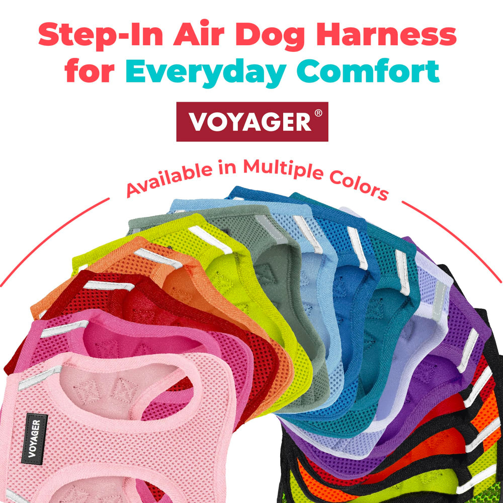 Secure fit for dogs and cats during walks and play