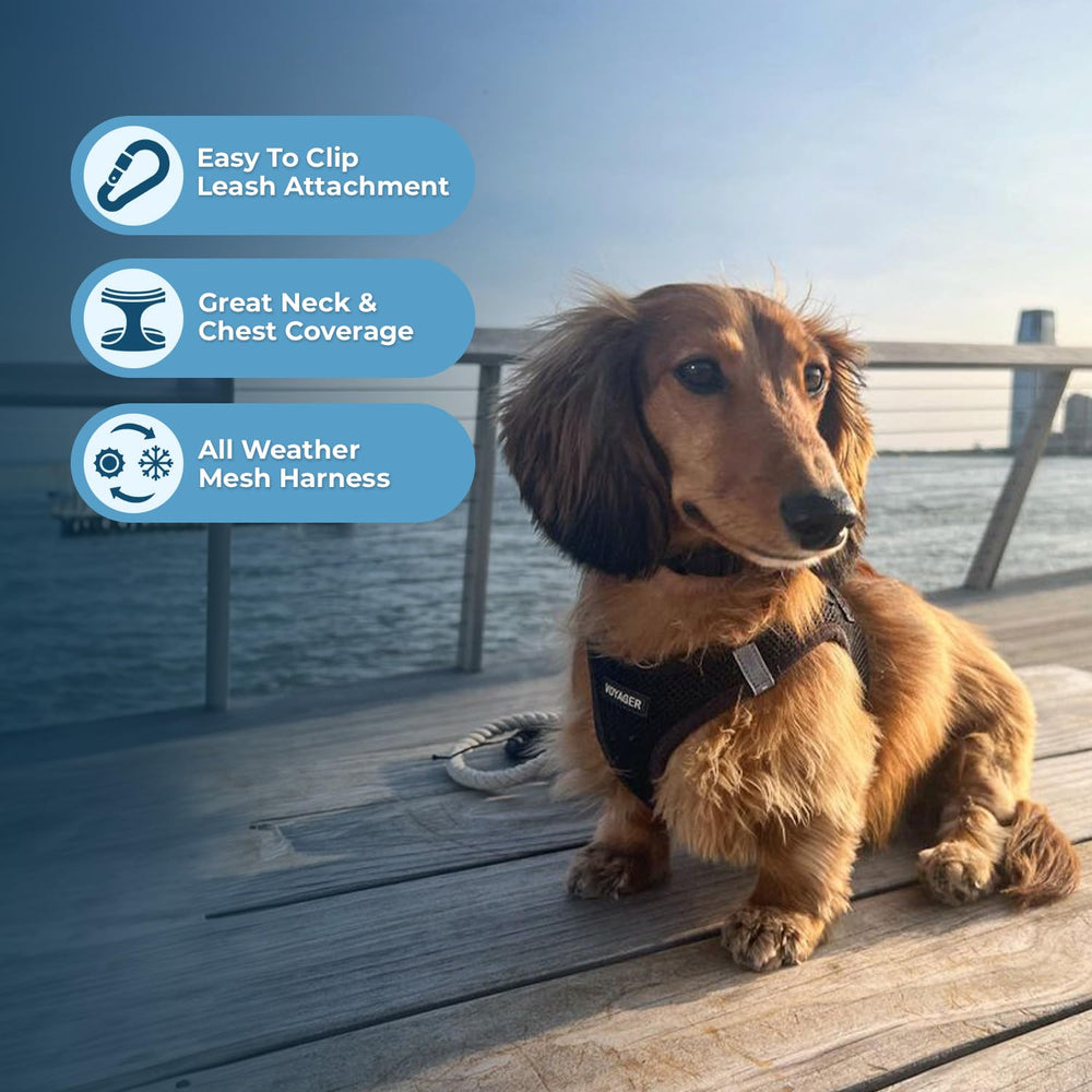 Size guide for Voyager harness measuring your pet for the best fit