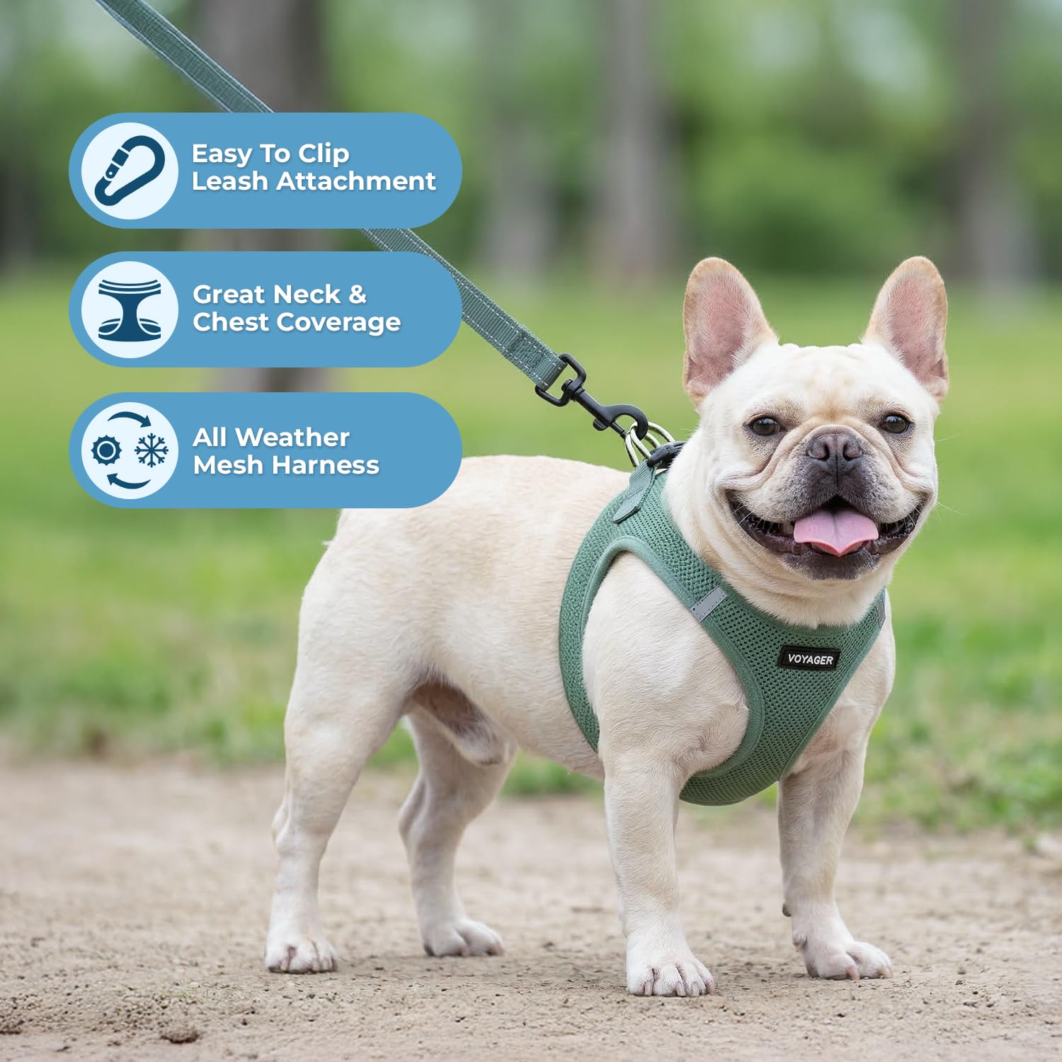 Best Pet Supplies Voyager size guide helps you choose the perfect fit.