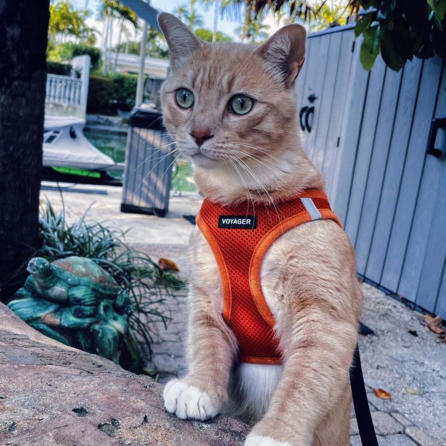 Best Pet Supplies Voyager versatile use harness suitable for dogs and cats.
