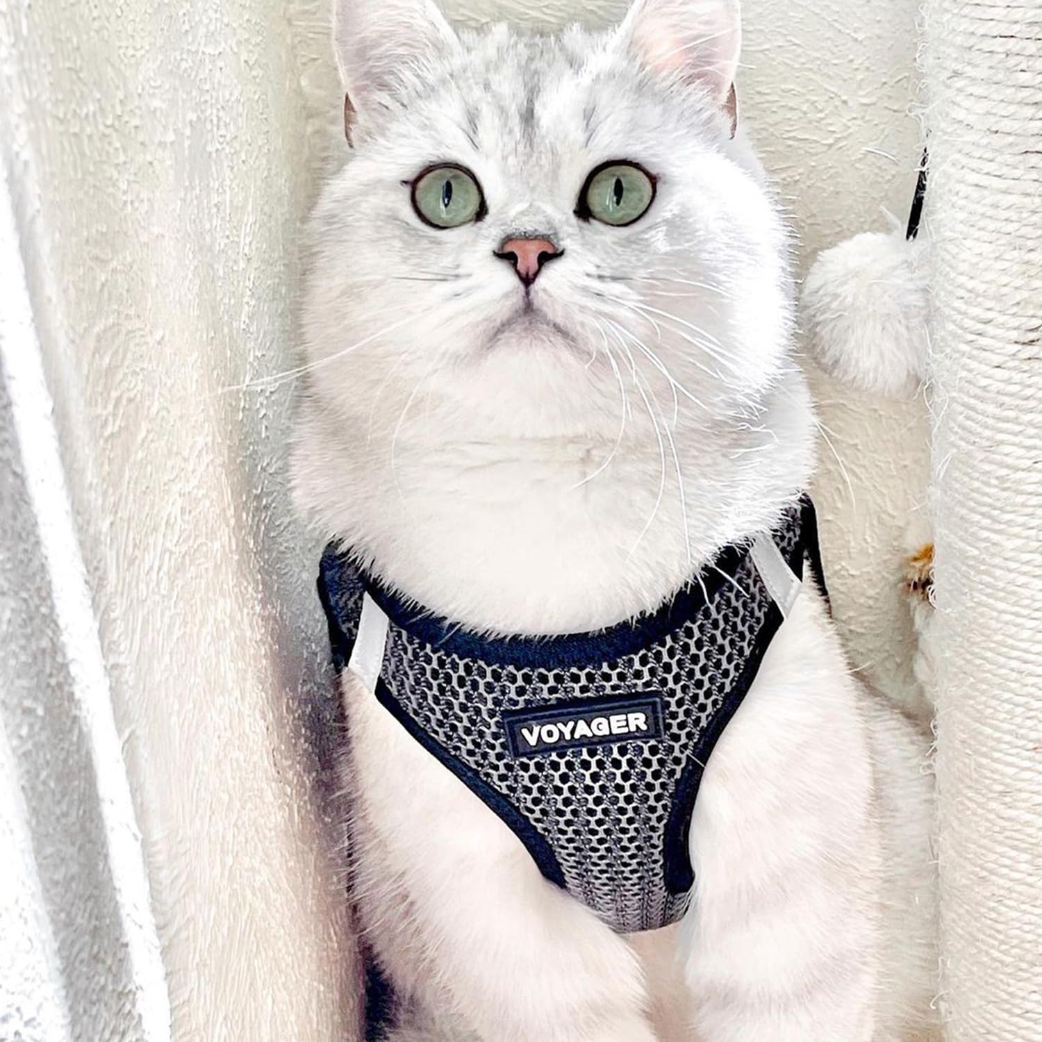 Adjustable fit on Voyager harness for personalized comfort and control