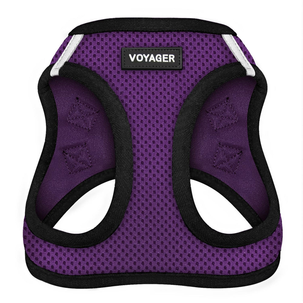 Best Pet Supplies Voyager Step-in Air Harness in all-weather mesh with purple-black trim for daily walks