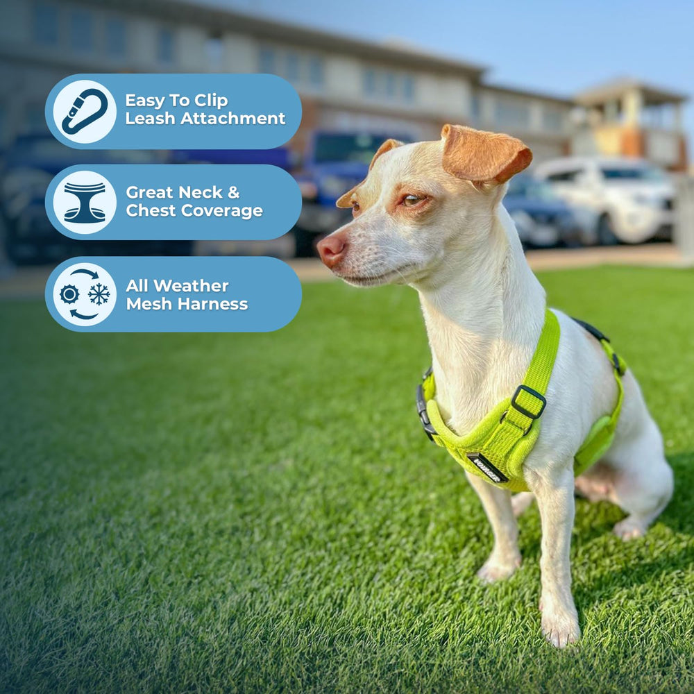 Voyager harness in all-weather mesh fabric for year-round use.