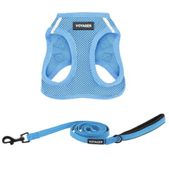 Best Pet Supplies Voyager step-in harness in baby blue for easy secure on-the-go walks
