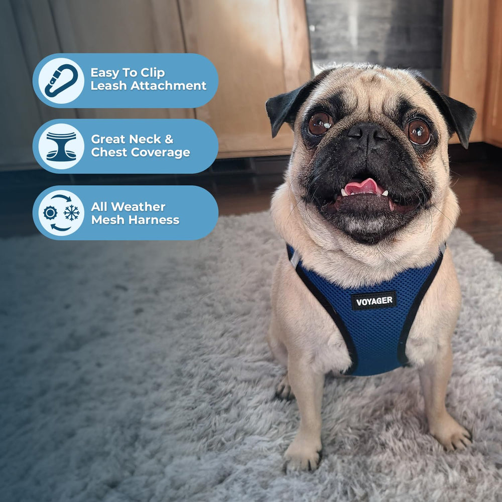 Best Pet Supplies Voyager Step-in Air Harness back view with secure buckle