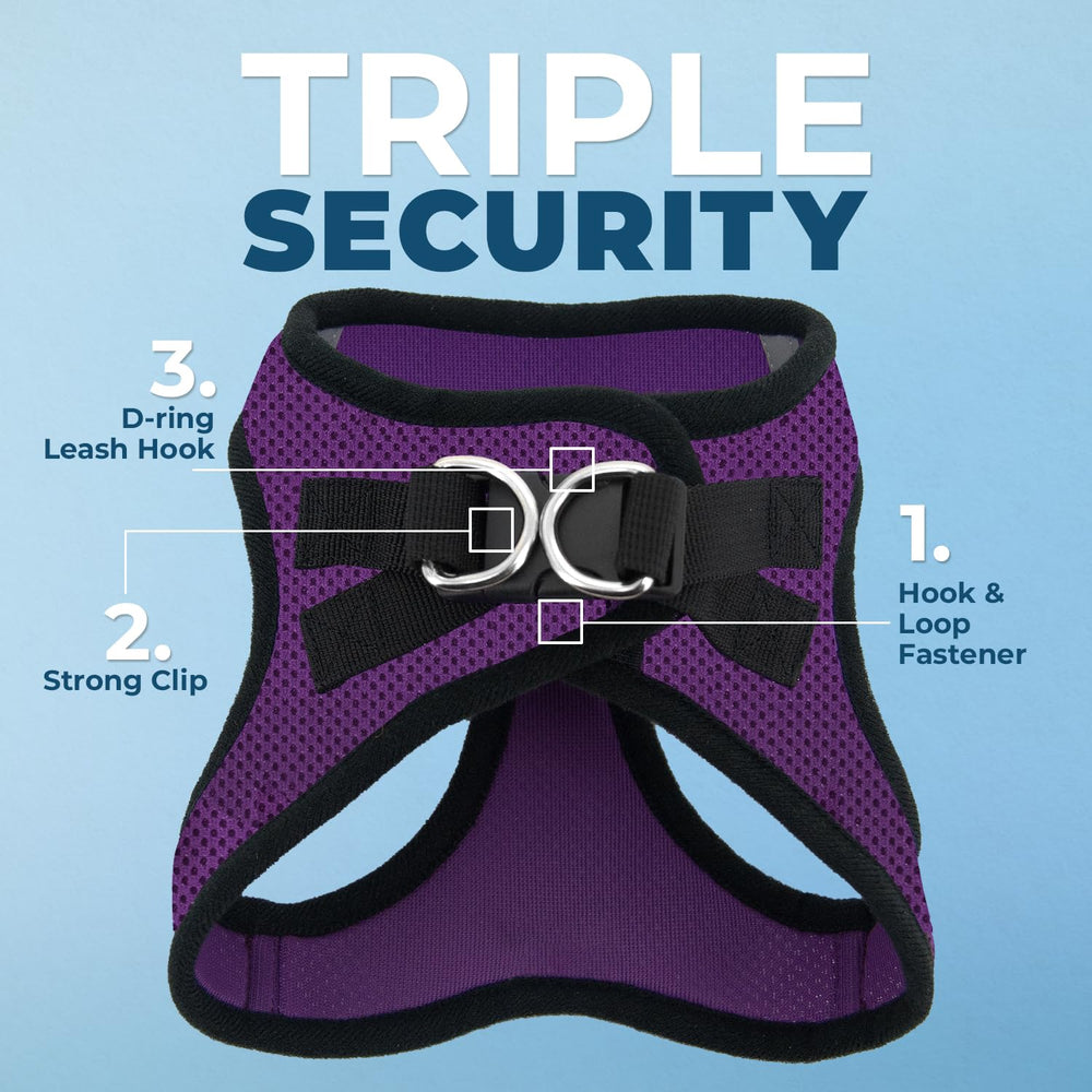 Best Pet Supplies Voyager Step-in Air Harness back view showing secure hook-and-loop closure.
