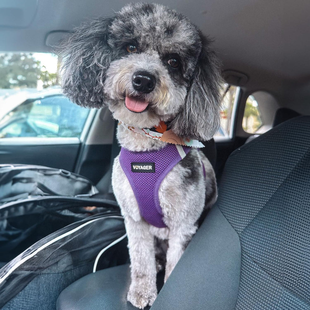 Best Pet Supplies Voyager harness uses breathable air mesh to keep pets cool.