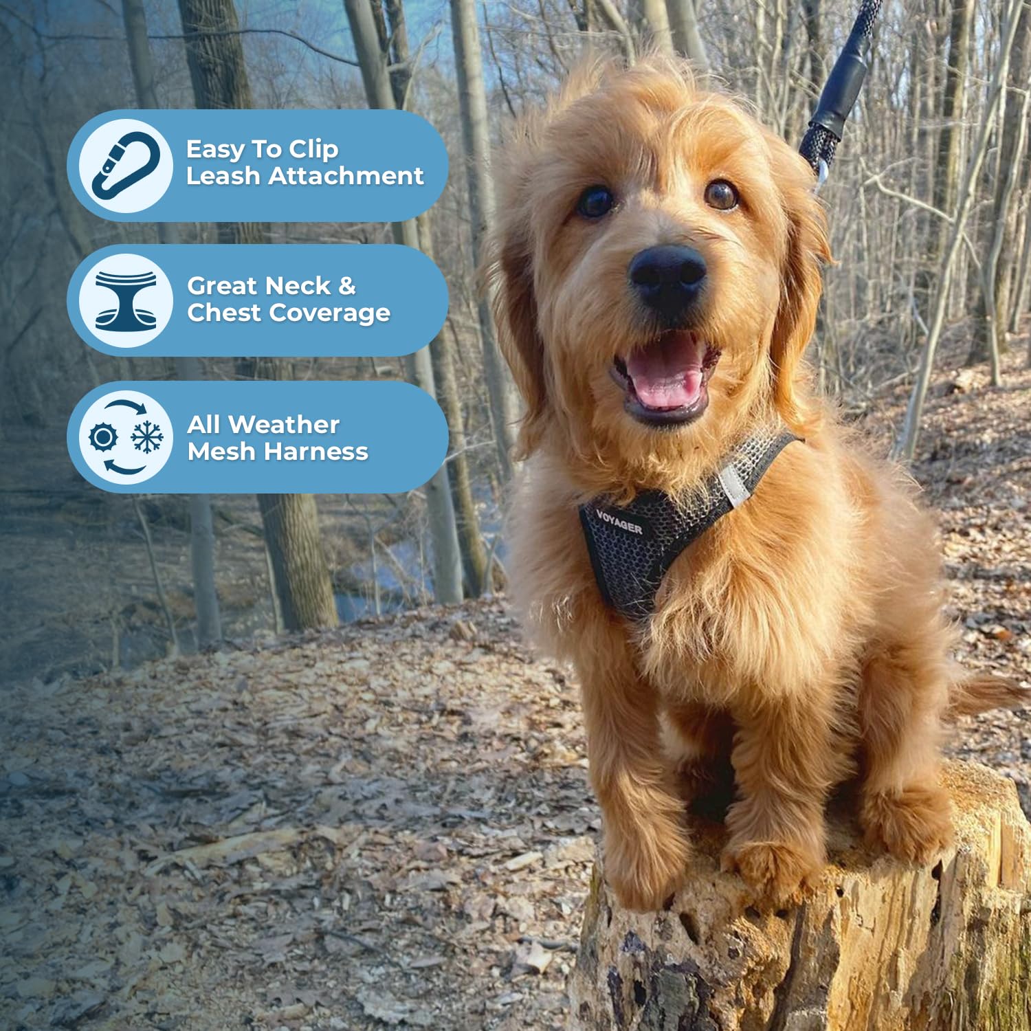 Voyager harness close-up buckle showing secure fastener from Best Pet Supplies